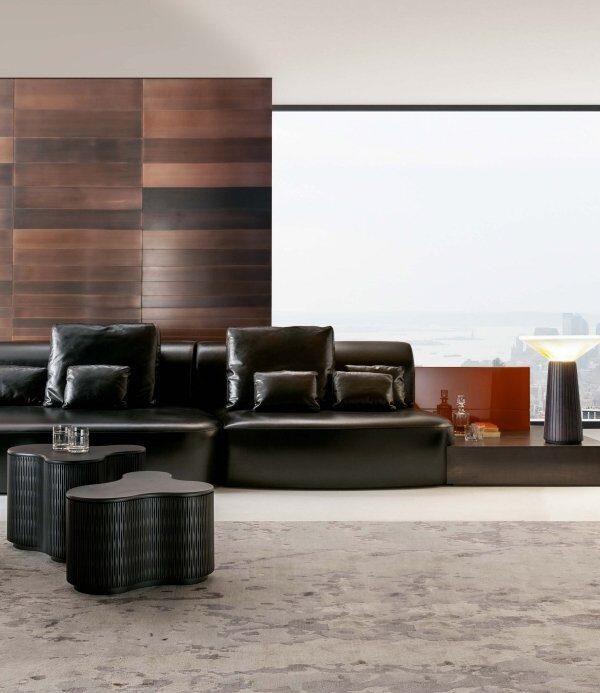 Designer Couch