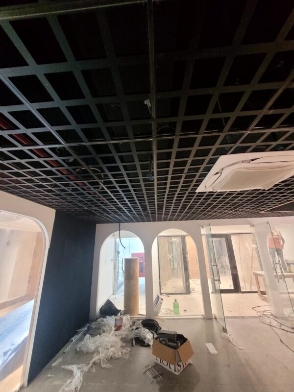 Designer Ceiling