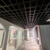 Designer Ceiling