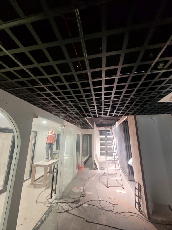 Designer Ceiling